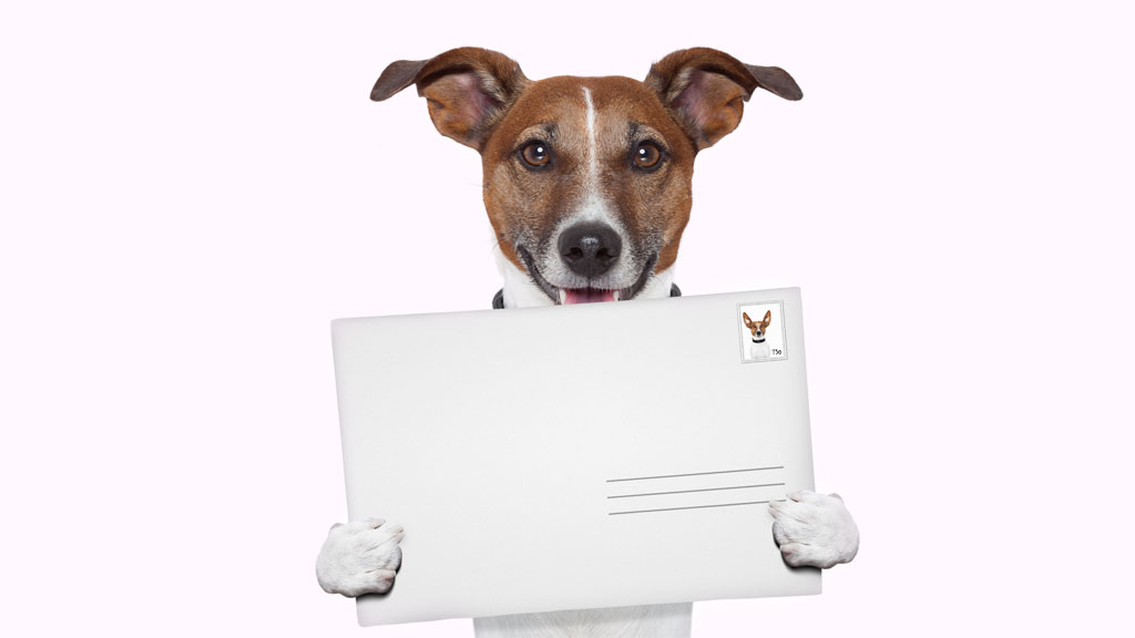 How to Get Free Shipping, and Other Shipping Tips